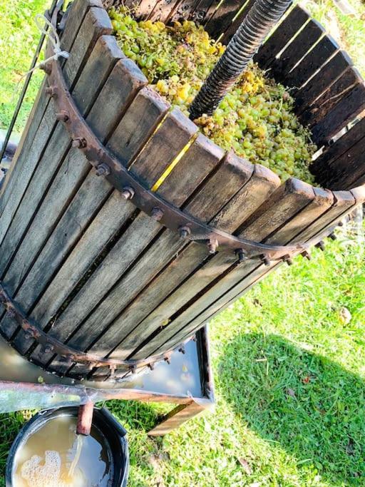 La-Marti, Idyllische Unterkunft Mit Kamin Bagdati Bagian luar foto